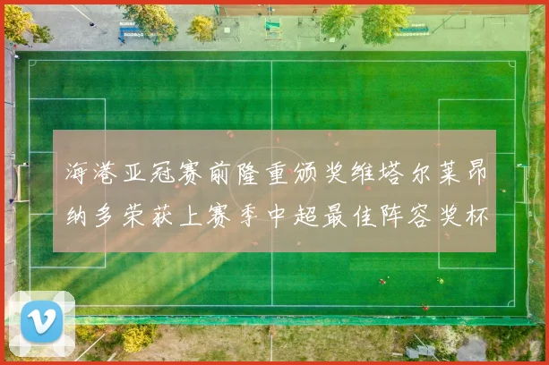 海港亚冠赛前隆重颁奖维塔尔莱昂纳多荣获上赛季中超最佳阵容奖杯