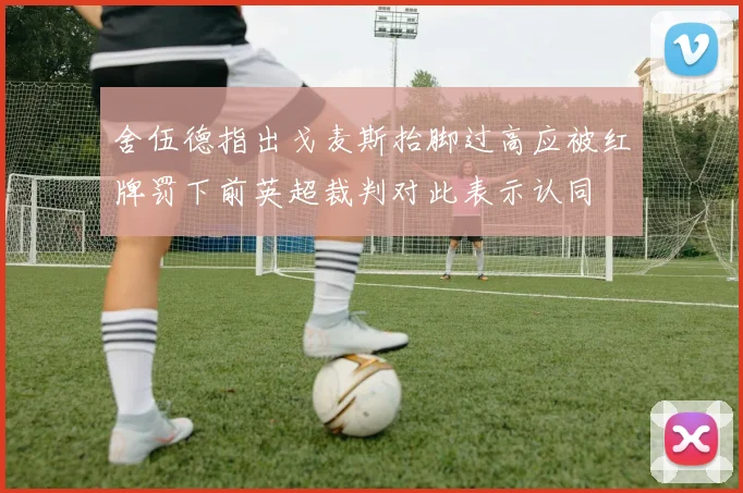 舍伍德指出戈麦斯抬脚过高应被红牌罚下前英超裁判对此表示认同