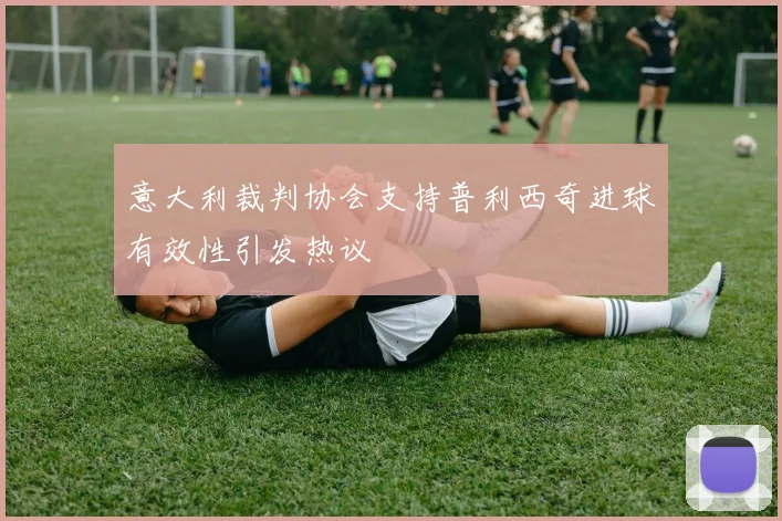 意大利裁判协会支持普利西奇进球有效性引发热议