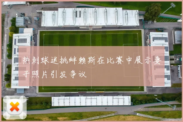 热刺球迷挑衅赖斯在比赛中展示妻子照片引发争议