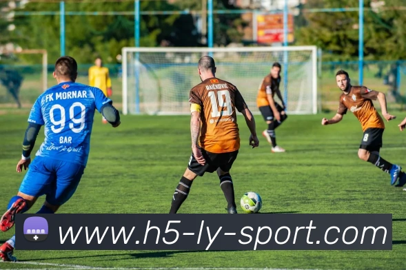 乐鱼体育发展历程