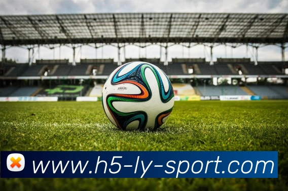 意大利裁判协会支持普利西奇进球有效性引发热议